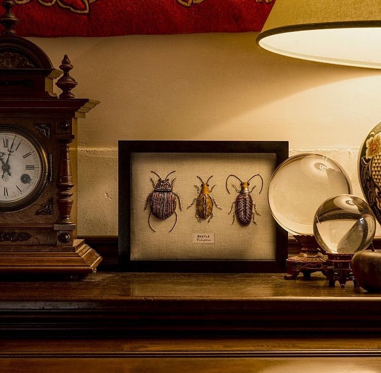Framed Beetles