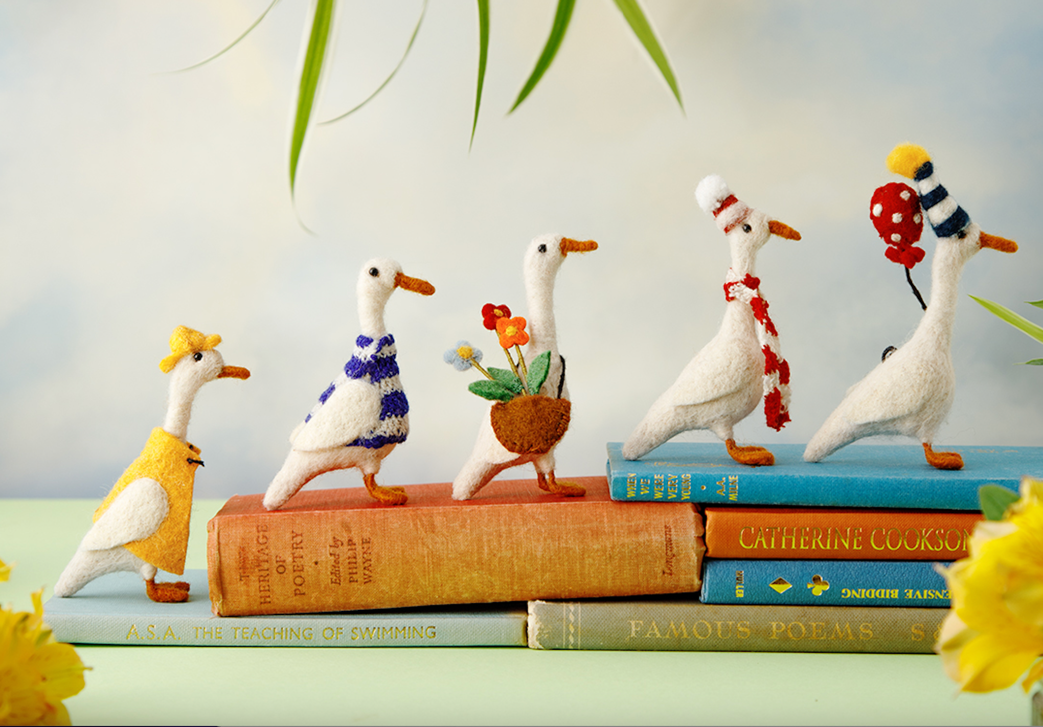  Duck Collection 