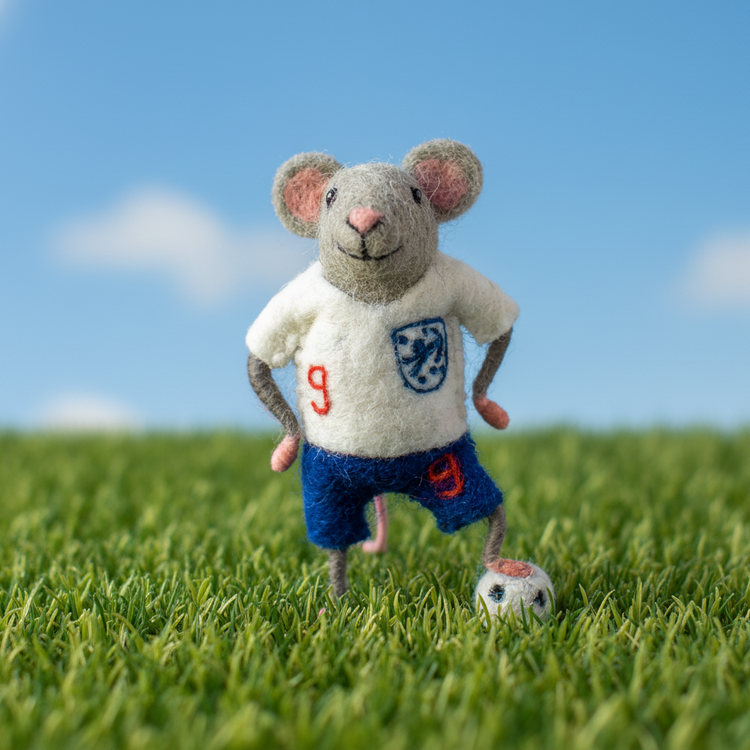 Toy mouse in england football kit on grass with a blue sky