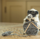 Felt Knitting Nora Sheep
