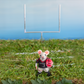 Felt Football Mouse