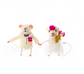 Page Boy and Bridesmaid Wedding Mice