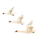 Flying Swan Trio
