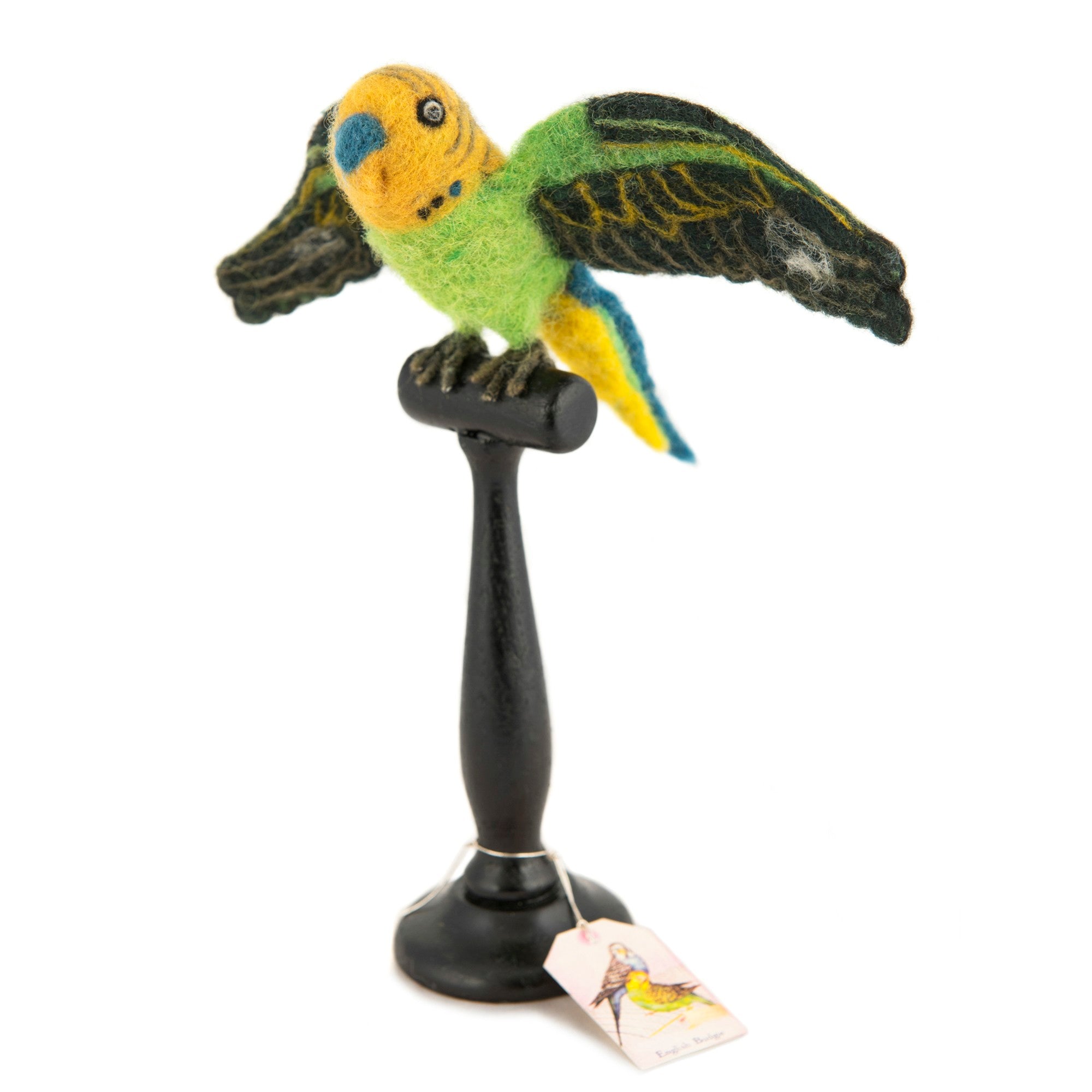 Green English Budgie