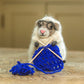 Knitting Nancy Sheep